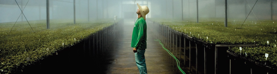 imagen-suzano-1